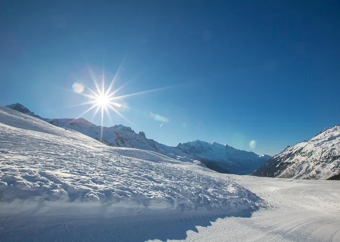 Les Capucins Jardin - Happy *